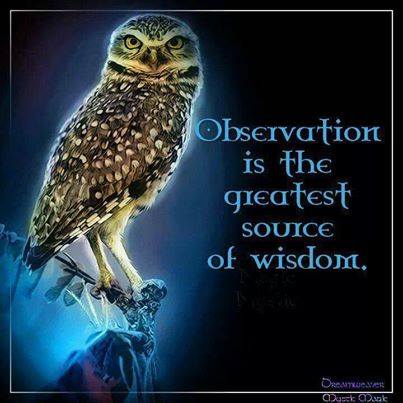 Observation is wisdom